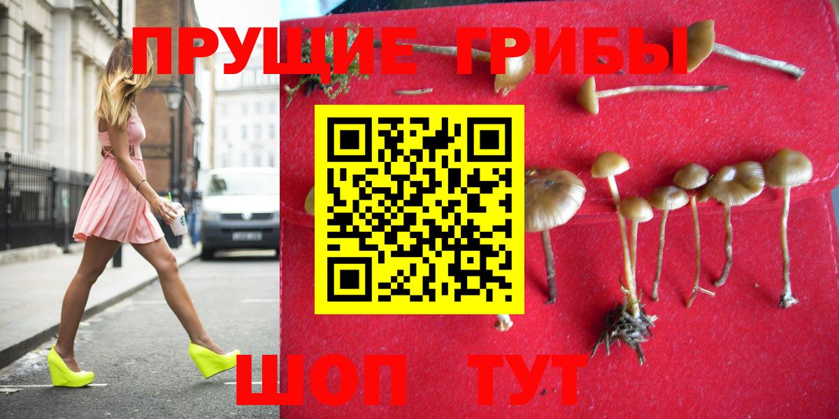 Ростов Великий  Псилоцибиновые грибы GOLDEN TEACHER  Вход с VPN 